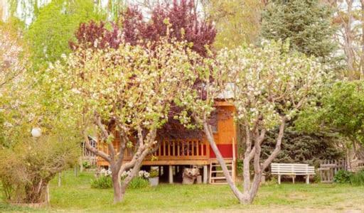 Hosteria La Farfalla Chos Malal Εξωτερικό φωτογραφία